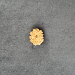 10 Mukhi Rudraksha