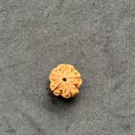 5 Mukhi Rudraksha