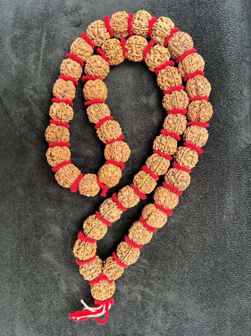 7 Mukhi Kantha Mala
