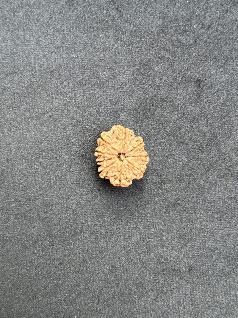 9 mukh
