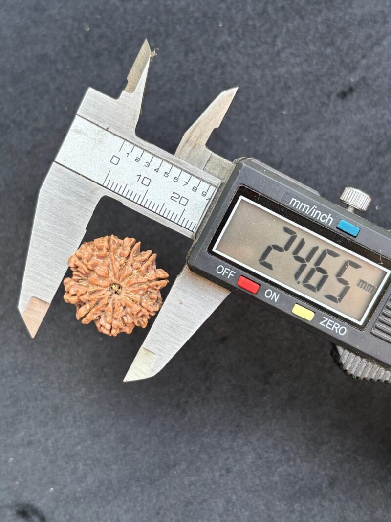 9 mukhi 2