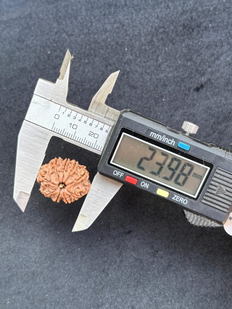 9 mukhi 3